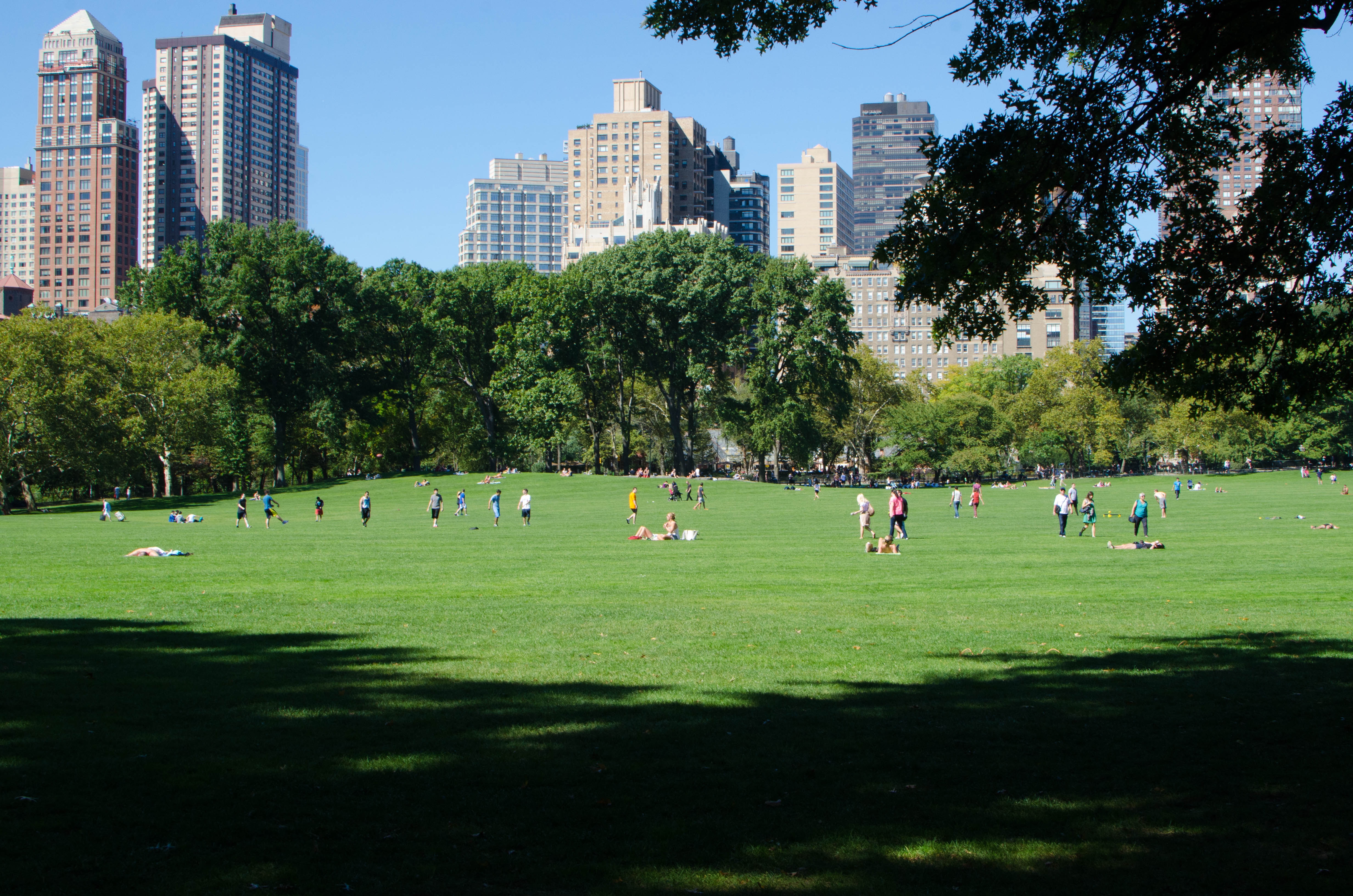 Image of Central Park